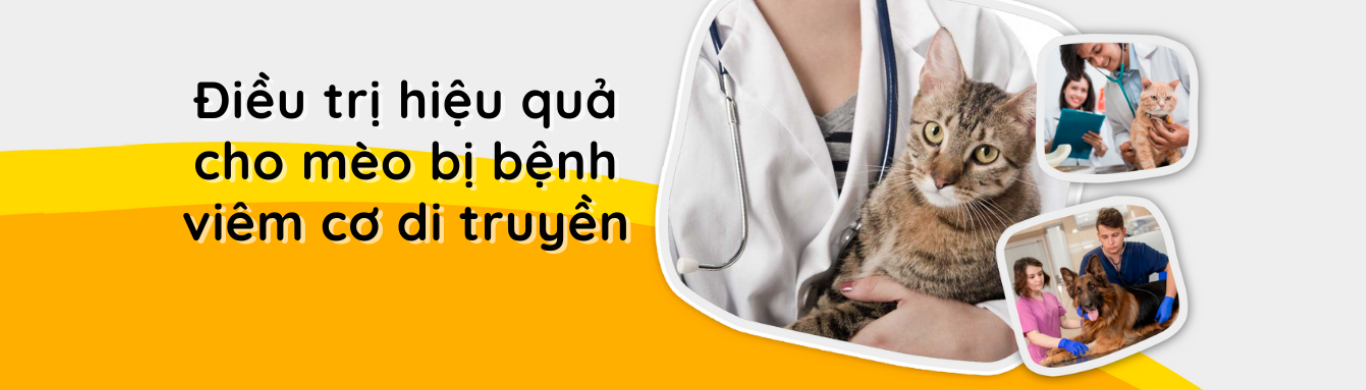 Thiết bị thú y